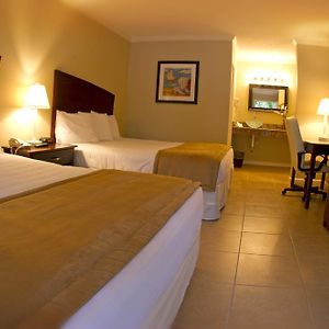 Queen Room Two Queen Beds Pool View Non-Smoking